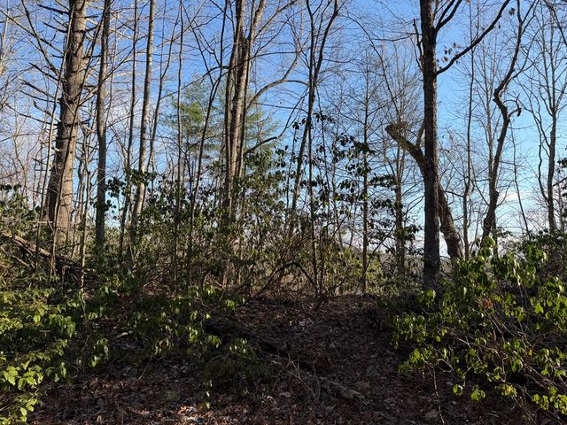 Lot 43 Laurel Lane, Murphy, NC 28906