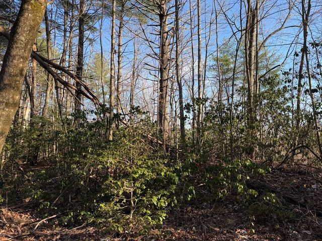 Lot 43 Laurel Lane, Murphy, NC 28906