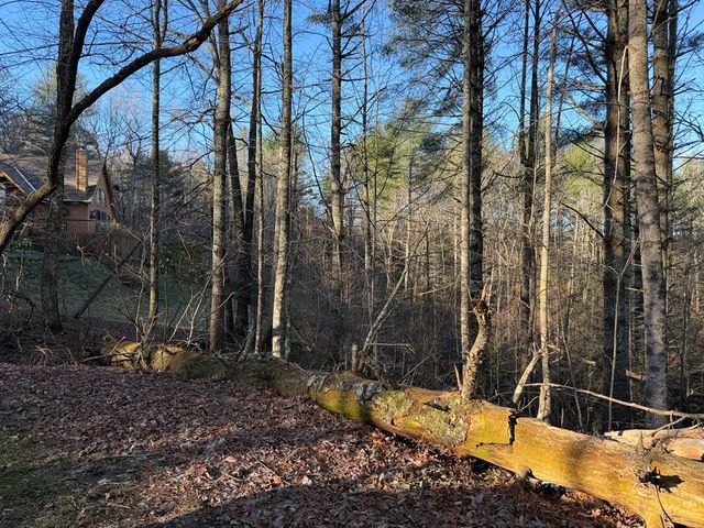 Lot 43 Laurel Lane, Murphy, NC 28906