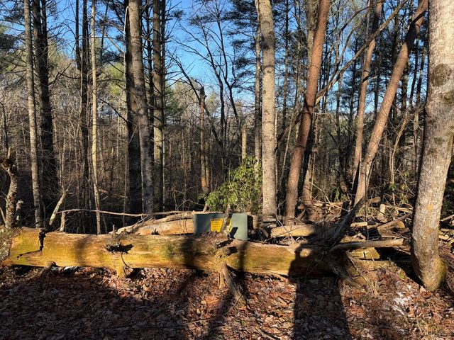 Lot 43 Laurel Lane, Murphy, NC 28906