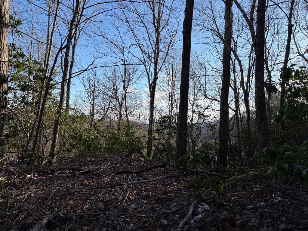 Lot 43 Laurel Lane, Murphy, NC 28906