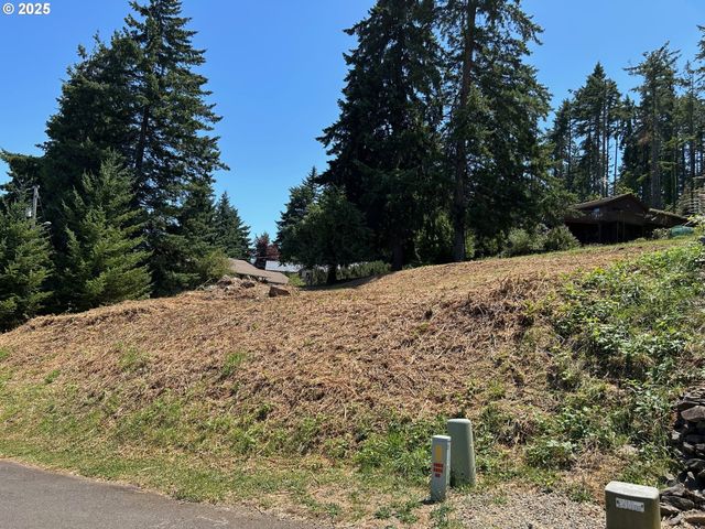 Holbrook Ln, Creswell, OR 97426