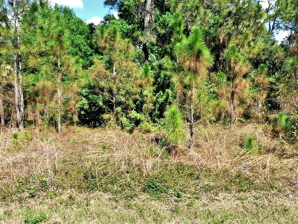 BIGNAY ROAD, North Port, FL 34288