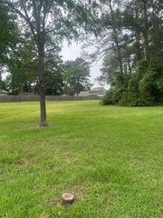 12995 Point Aquarius Boulevard, Willis, TX 77318