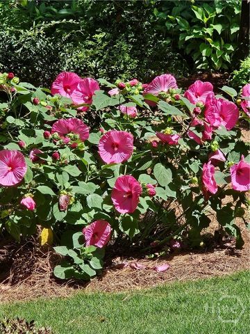 295 Blue Heron Drive, Athens, GA 30605