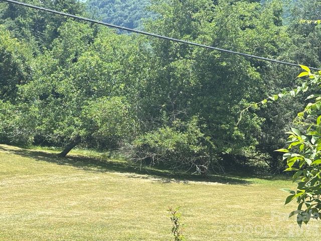 130 Wid Smith Road, Burnsville, NC 28714