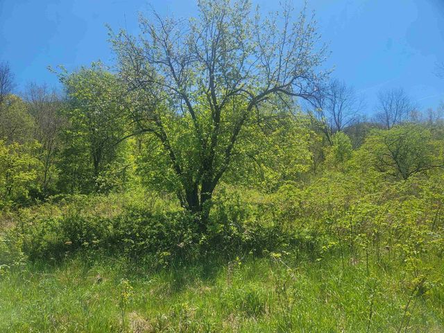 23810 Dove Lane, Hillsboro, WI 54634