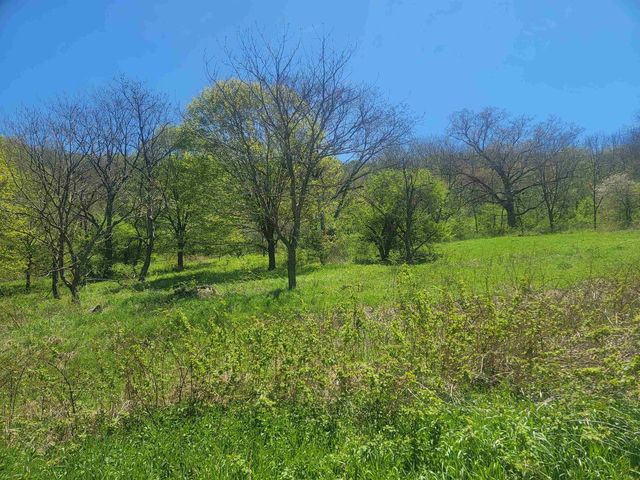 23810 Dove Lane, Hillsboro, WI 54634