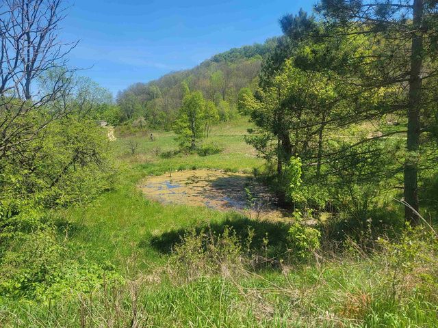 23810 Dove Lane, Hillsboro, WI 54634