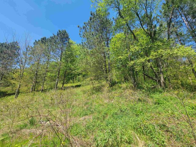23810 Dove Lane, Hillsboro, WI 54634