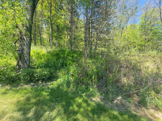 23810 Dove Lane, Hillsboro, WI 54634
