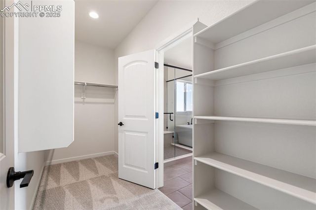 9643 Owl Perch Loop, Colorado Springs, CO 80908