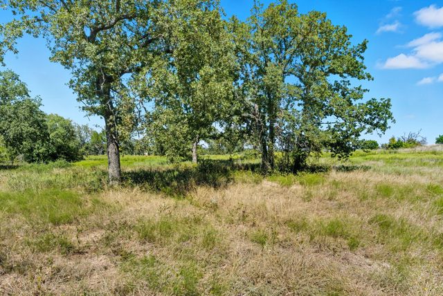 113 Homestead Court, Lipan, TX 76462