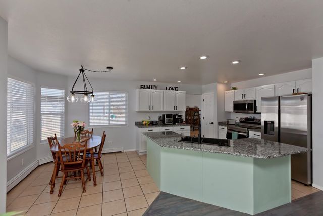 203 Elderberry Drive, Fruita, CO 81521