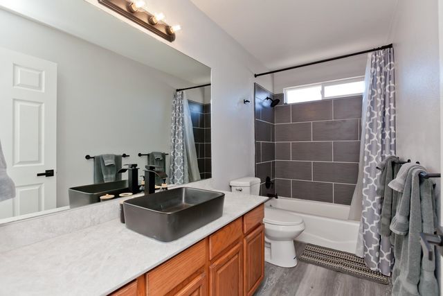 203 Elderberry Drive, Fruita, CO 81521