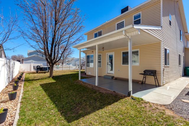 203 Elderberry Drive, Fruita, CO 81521