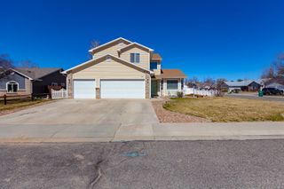 203 Elderberry Drive, Fruita, CO 81521