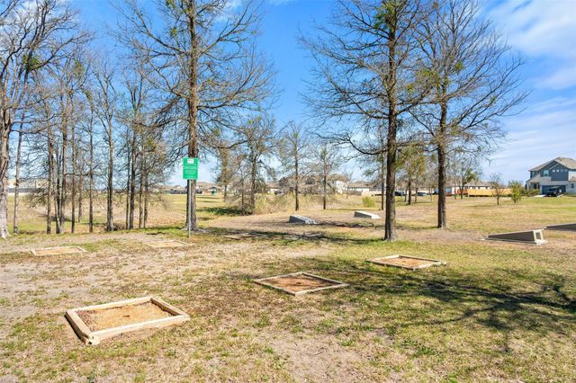 12517 Cockatoo XING, Manor, TX 78653