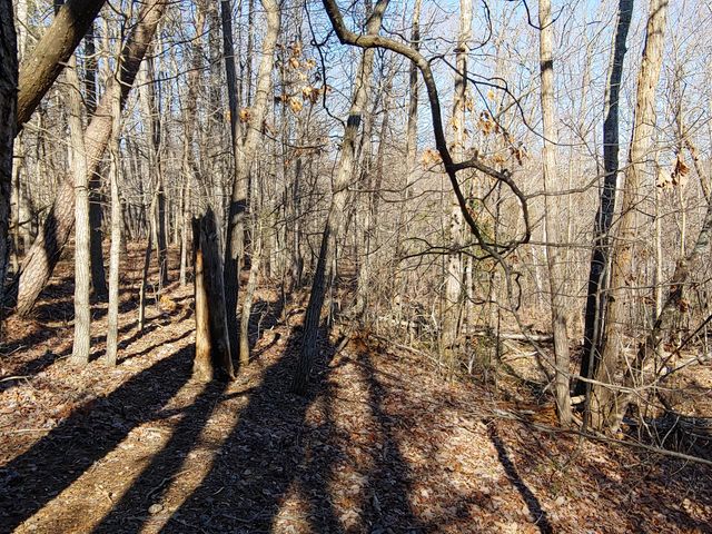 LOT 1 Truman Hill RD, Hardy, VA 24101