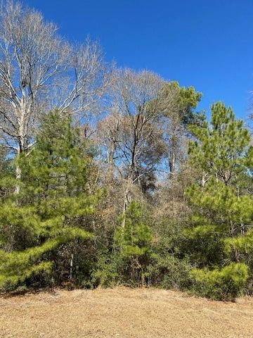 17763 Appaloosa Drive, Waller, TX 77484