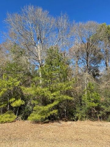17763 Appaloosa Drive, Waller, TX 77484