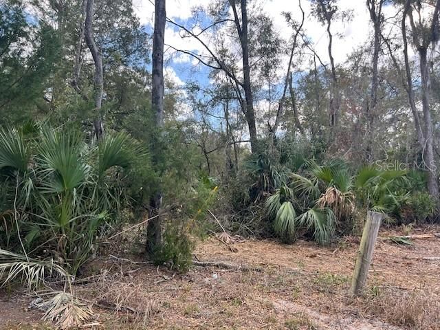 65 SE 153 AVENUE, Old Town, FL 32680