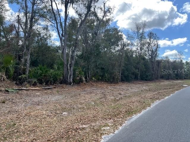 65 SE 153 AVENUE, Old Town, FL 32680
