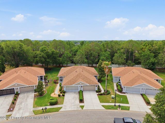 15028 Silversmith Circle, Spring Hill, FL 34609