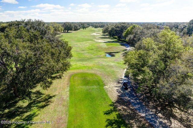 15028 Silversmith Circle, Spring Hill, FL 34609