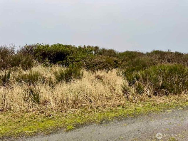 0 xxx Dune Crest Drive, Westport, WA 98595