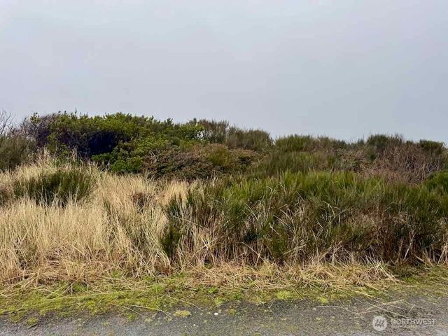 0 xxx Dune Crest Drive, Westport, WA 98595