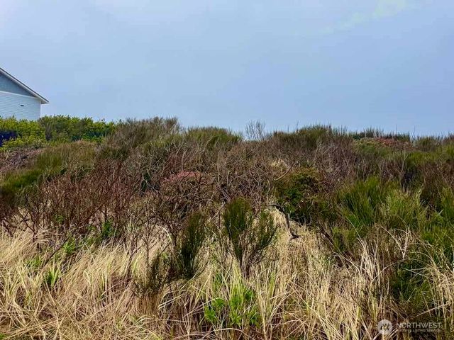 0 xxx Dune Crest Drive, Westport, WA 98595