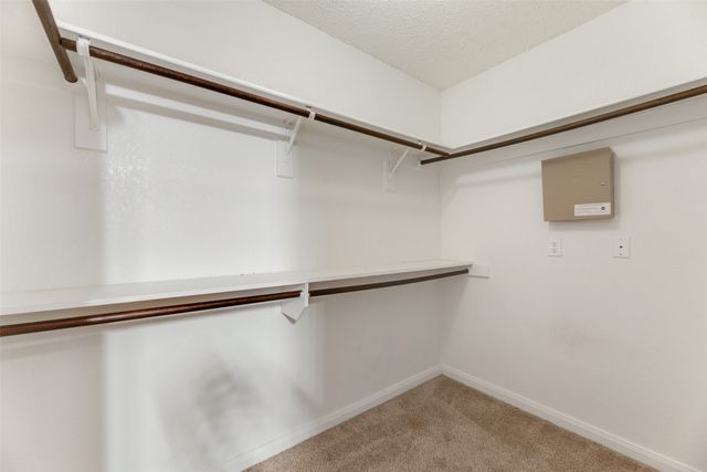 605 English Oak Drive, Allen, TX 75002