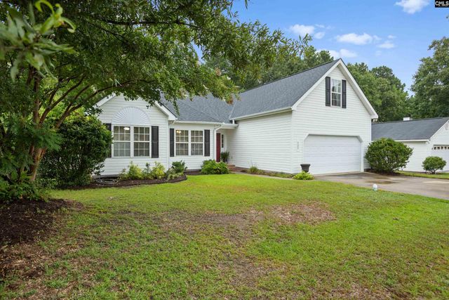 127 Elm Creek Drive, Chapin, SC 29036
