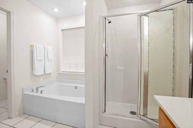 127 Elm Creek Drive, Chapin, SC 29036