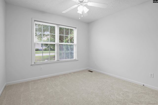 127 Elm Creek Drive, Chapin, SC 29036