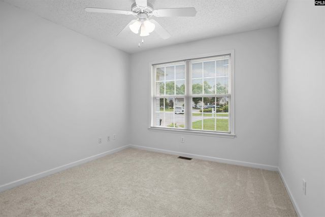 127 Elm Creek Drive, Chapin, SC 29036