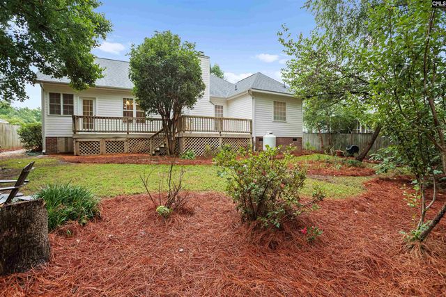 127 Elm Creek Drive, Chapin, SC 29036