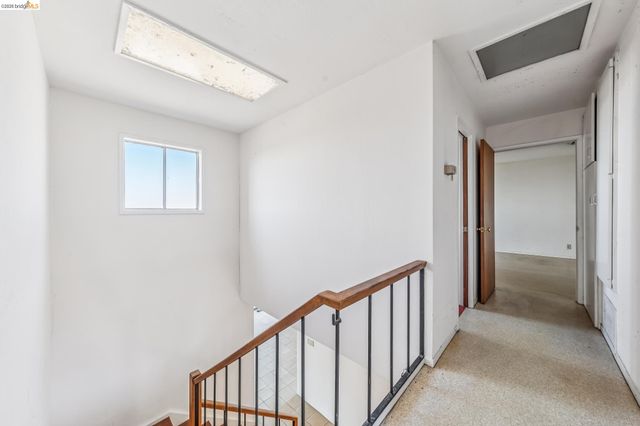 456 Kentucky Ave, Berkeley, CA 94707