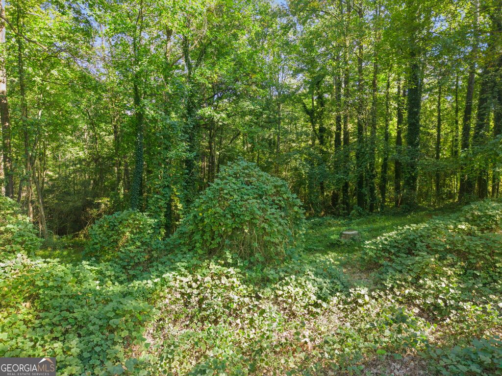 4011 W Hilda Circle, Decatur, GA 30035 — photo 5