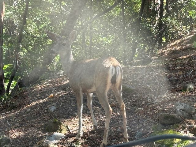 2407 Anglers Court, Mariposa, CA 95338