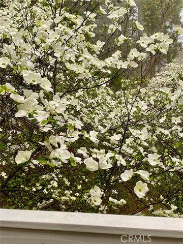 841 Cottage Grove Road, Lake Arrowhead, CA 92352