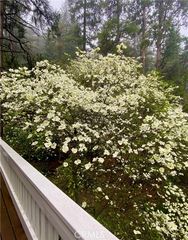 841 Cottage Grove Road, Lake Arrowhead, CA 92352