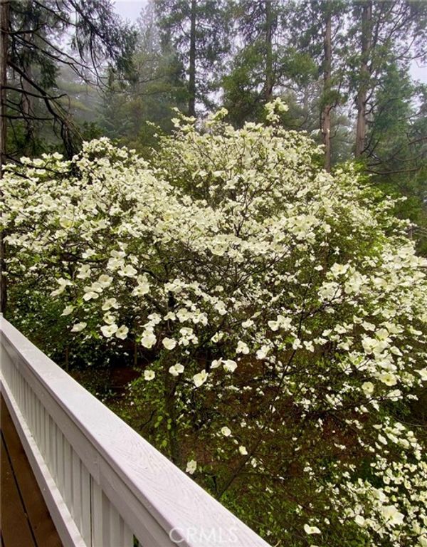 841 Cottage Grove Road, Lake Arrowhead, CA 92352