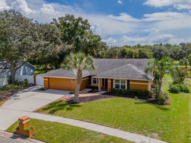 1409 HOLLEMAN, Valrico, FL 33596