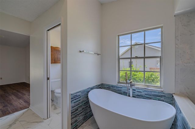 1409 HOLLEMAN, Valrico, FL 33596