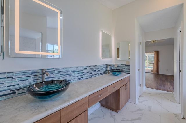 1409 HOLLEMAN, Valrico, FL 33596