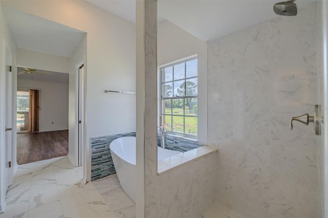 1409 HOLLEMAN, Valrico, FL 33596