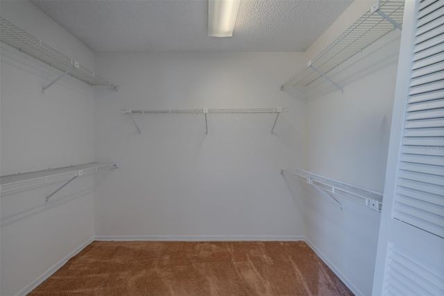 1409 HOLLEMAN, Valrico, FL 33596