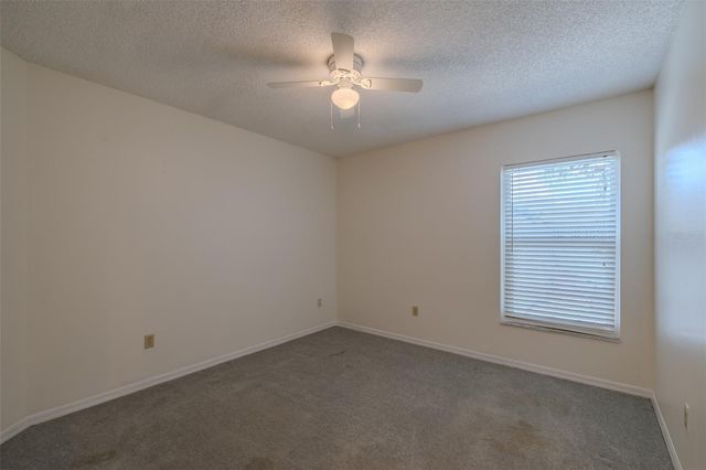 1409 HOLLEMAN, Valrico, FL 33596